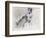 Swan Lake, 2001-Mark Adlington-Framed Giclee Print