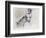 Swan Lake, 2001-Mark Adlington-Framed Giclee Print