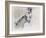 Swan Lake, 2001-Mark Adlington-Framed Giclee Print