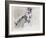 Swan Lake, 2001-Mark Adlington-Framed Giclee Print