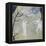 Swan Lake, 2008-Susan Bower-Framed Premier Image Canvas