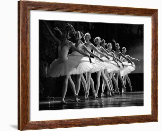 Swan Lake ballet-null-Framed Giclee Print