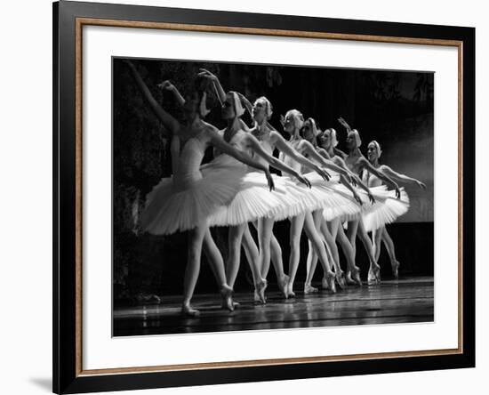 Swan Lake ballet-null-Framed Giclee Print