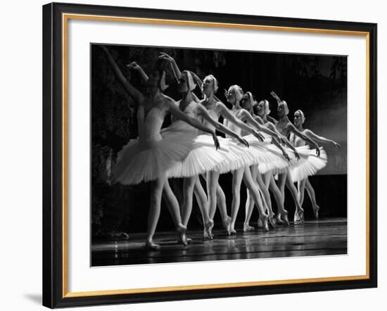 Swan Lake ballet-null-Framed Giclee Print