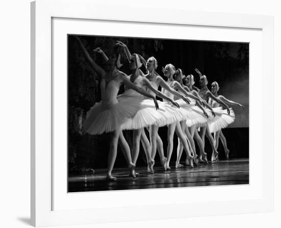 Swan Lake ballet-null-Framed Giclee Print