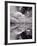 Swan Lake Explorations BW-Steve Gadomski-Framed Photographic Print