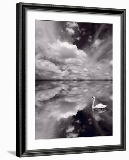 Swan Lake Explorations BW-Steve Gadomski-Framed Photographic Print