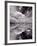 Swan Lake Explorations BW-Steve Gadomski-Framed Photographic Print