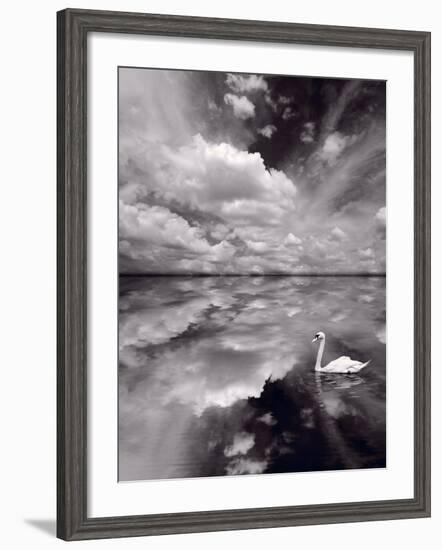 Swan Lake Explorations BW-Steve Gadomski-Framed Photographic Print