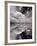 Swan Lake Explorations BW-Steve Gadomski-Framed Photographic Print