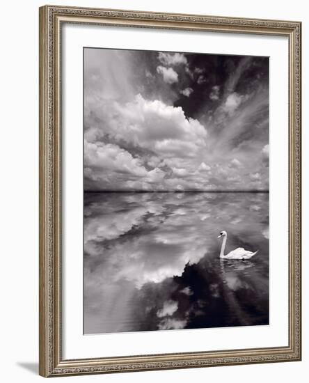 Swan Lake Explorations BW-Steve Gadomski-Framed Photographic Print