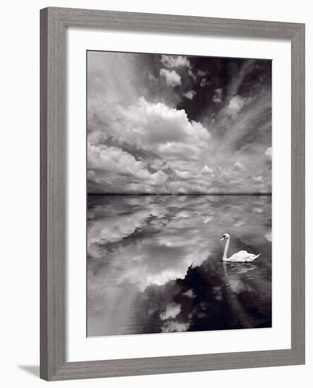 Swan Lake Explorations BW-Steve Gadomski-Framed Photographic Print