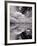 Swan Lake Explorations BW-Steve Gadomski-Framed Photographic Print