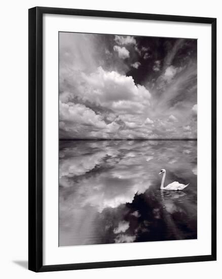 Swan Lake Explorations BW-Steve Gadomski-Framed Photographic Print