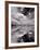 Swan Lake Explorations BW-Steve Gadomski-Framed Photographic Print