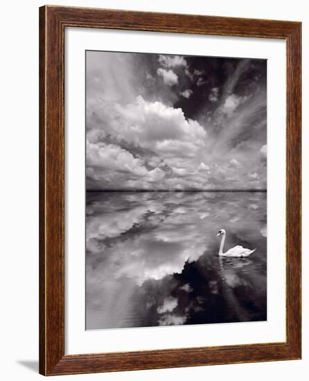 Swan Lake Explorations BW-Steve Gadomski-Framed Photographic Print