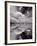 Swan Lake Explorations BW-Steve Gadomski-Framed Photographic Print