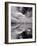 Swan Lake Explorations BW-Steve Gadomski-Framed Photographic Print