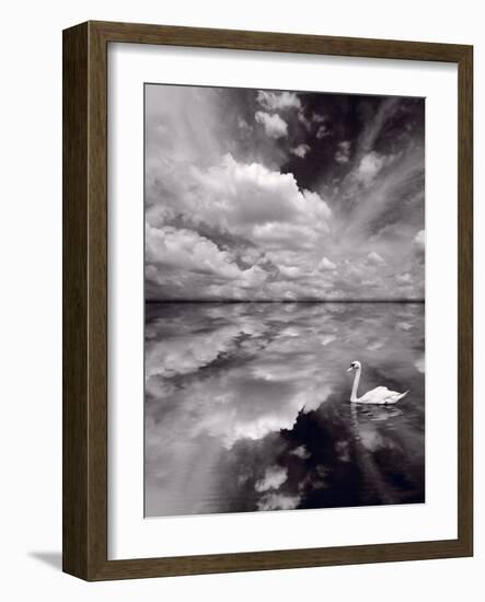 Swan Lake Explorations BW-Steve Gadomski-Framed Photographic Print