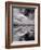 Swan Lake Explorations BW-Steve Gadomski-Framed Photographic Print