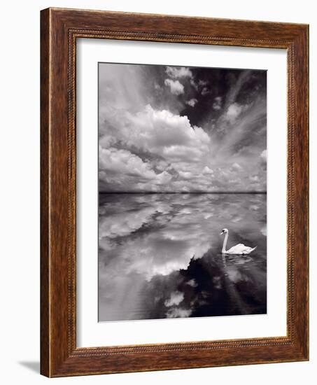 Swan Lake Explorations BW-Steve Gadomski-Framed Photographic Print