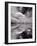 Swan Lake Explorations BW-Steve Gadomski-Framed Photographic Print