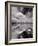 Swan Lake Explorations BW-Steve Gadomski-Framed Photographic Print