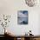 Swan Lake Explorations-Steve Gadomski-Framed Premier Image Canvas displayed on a wall