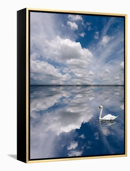 Swan Lake Explorations-Steve Gadomski-Framed Premier Image Canvas