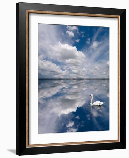 Swan Lake Explorations-Steve Gadomski-Framed Photographic Print