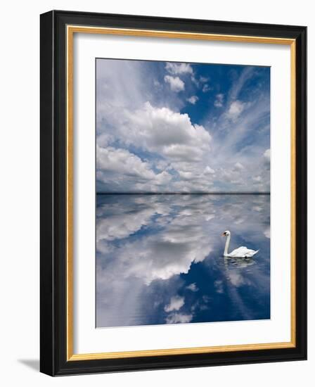 Swan Lake Explorations-Steve Gadomski-Framed Photographic Print