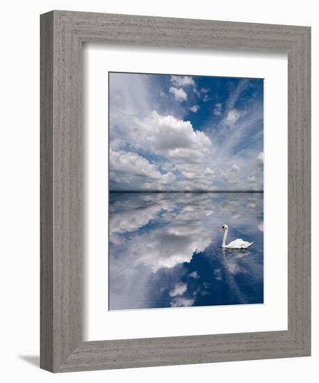 Swan Lake Explorations-Steve Gadomski-Framed Photographic Print