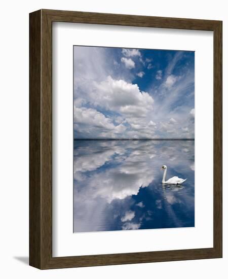 Swan Lake Explorations-Steve Gadomski-Framed Photographic Print