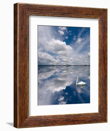 Swan Lake Explorations-Steve Gadomski-Framed Photographic Print