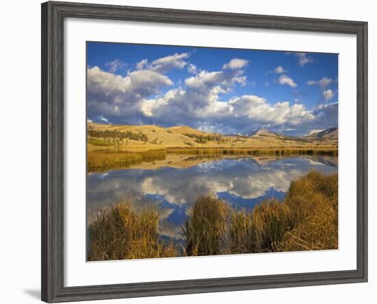 Swan Lake Reflects Clouds and Gallatin Mountain Range, Yellowstone National Park, Wyoming, USA-Chuck Haney-Framed Photographic Print