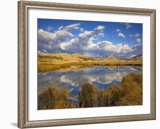 Swan Lake Reflects Clouds and Gallatin Mountain Range, Yellowstone National Park, Wyoming, USA-Chuck Haney-Framed Photographic Print