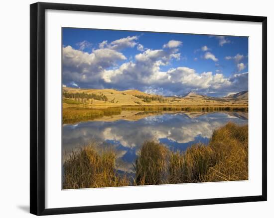 Swan Lake Reflects Clouds and Gallatin Mountain Range, Yellowstone National Park, Wyoming, USA-Chuck Haney-Framed Photographic Print