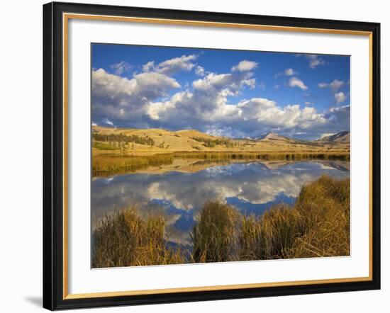 Swan Lake Reflects Clouds and Gallatin Mountain Range, Yellowstone National Park, Wyoming, USA-Chuck Haney-Framed Photographic Print