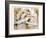 Swan Lake-Marta Gottfried-Framed Art Print