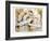 Swan Lake-Marta Gottfried-Framed Art Print