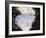 Swan Lake-Judy Mastrangelo-Framed Giclee Print