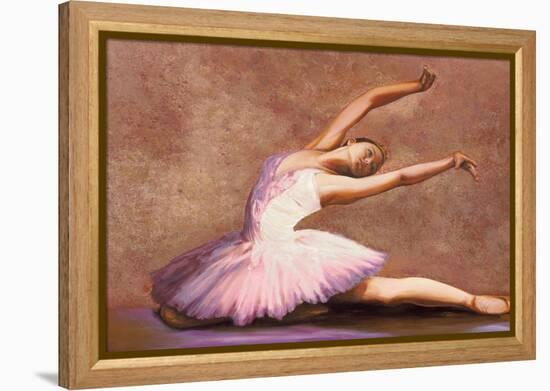 Swan Lake-Andrea Bassetti-Framed Stretched Canvas