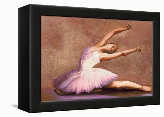 Swan Lake-Andrea Bassetti-Framed Stretched Canvas