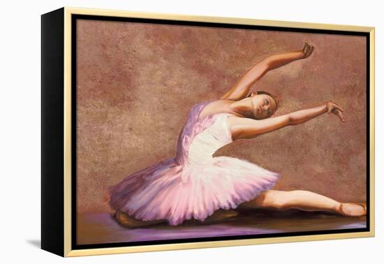 Swan Lake-Andrea Bassetti-Framed Stretched Canvas