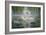 Swan Love-Bruce Dumas-Framed Giclee Print