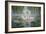 Swan Love-Bruce Dumas-Framed Giclee Print