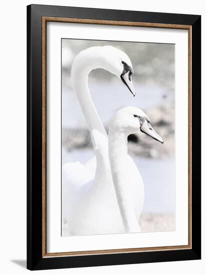 Swan Melody-Wink Gaines-Framed Giclee Print