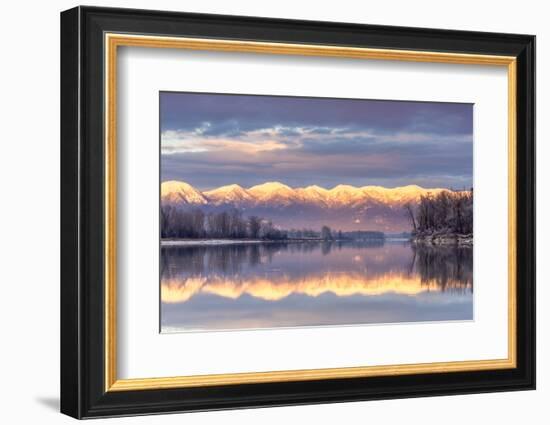 Swan Mountains Reflect into the Flathead River, Sunset, Montana, USA-Chuck Haney-Framed Photographic Print