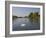 Swan on the River Thames at Walton-On-Thames, Near London, England, United Kingdom, Europe-Hazel Stuart-Framed Photographic Print