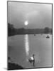 Swan on the Serpentine During the Mmonlight-Cornell Capa-Mounted Photographic Print